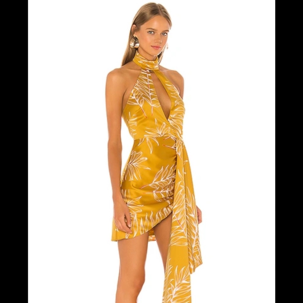 Revolve Camila Coelho Antonia dress